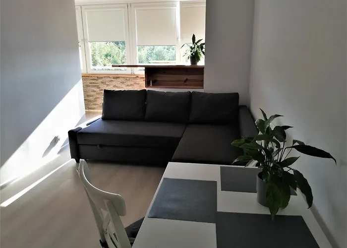 Nadmorski Koliberek - Integro *